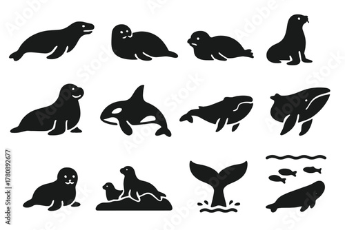 Antarctic Marine Icons. Solid style icons of Antarctic mammals: leopard seal, Weddell seal, crabeater seal, fur seal, elephant