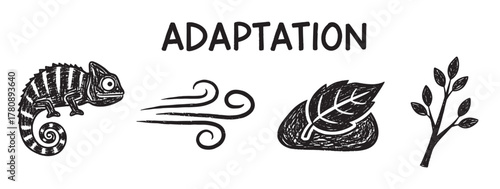 Hand-drawn black-and-white illustration showing adaptation with a chameleon, wind, leaf on a stone, and a plant branch.