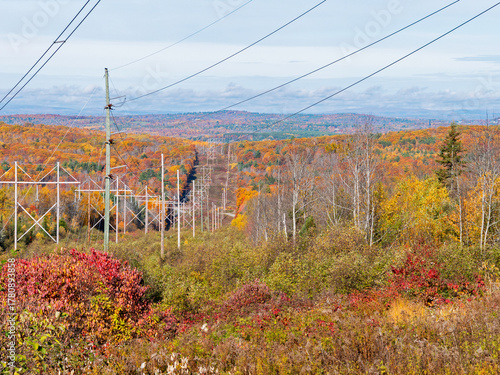 Transmission lines through rural Maine in the fall.
