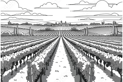 “Monochrome Vineyard Fields – Endless Rows in Black and White Serenity”