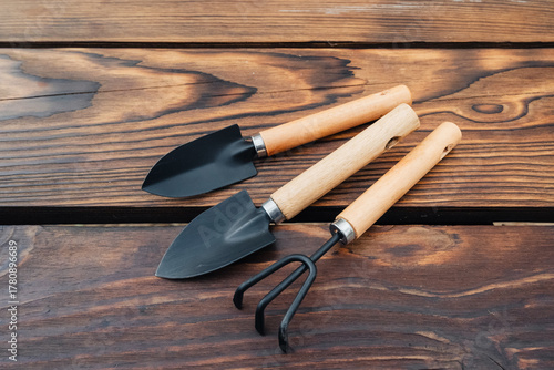 miniature gardening tools on a dark wooden background