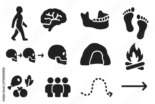 Icons of Human Evolution. Solid style icons of Human evolution: upright figure, brain outline, jawbone, walking footprints, skull
