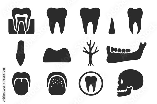 Dental Anatomy Icons. Solid style icons of Dental Anatomy: Tooth Cross-Section, Molar, Incisor, Canine, Root, Gum, Nerve, Jawbone,