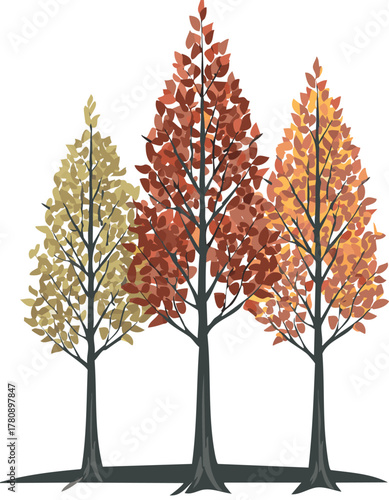 Three autumn trees with colorful leaves