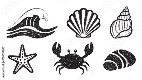 Black and white hand-drawn illustrations of ocean wave, scallop shell, spiral shell, starfish, crab, and seashell, showcasing marine life elements.