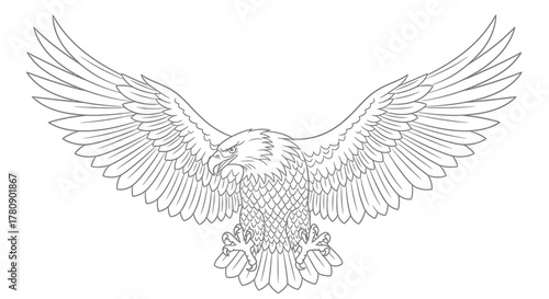 Majestic eagle soaring with intricately detailed wings against a white backdrop