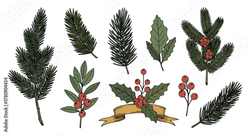 Botanical Illustrations Featuring Christmas, Festive Holiday Floral Design