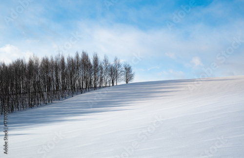 雪で覆われた美瑛の丘 北海道美瑛町 日本