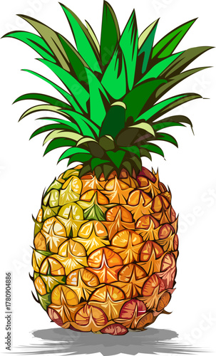 Ripe pineapple fruit. Pineapple isolated on white background, clipping path, full depth of field