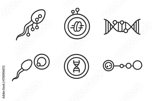Epigenetic Icons. Line style icons of reproductive epigenetics: sperm methylation profile, oocyte histone state, imprinting
