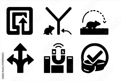 Magnetoreception Tests Icons. Solid style icons of behavioral tests in magnetoreception: maze with direction icon, animal choice