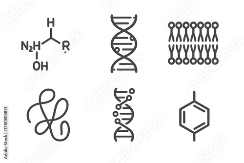 Life's Molecular Icons. Line style icons of molecules related to life: amino acid structure, nucleotide chain, lipid bilayer icon,