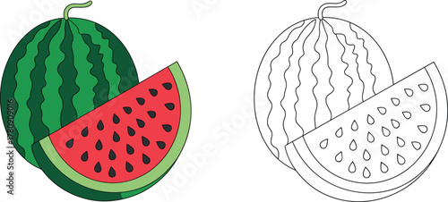 Watermelon fruit illustration, whole and sliced, colorful vector design, outline version, healthy food clipart, summer fruit drawing, stock image