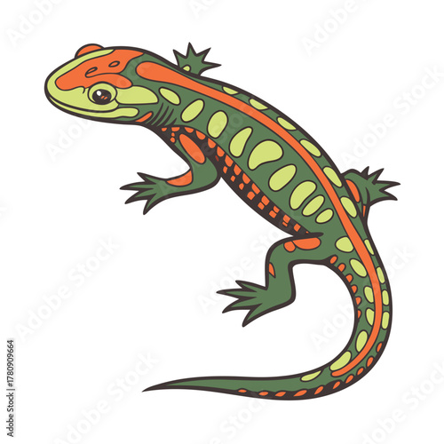 Newt Color Vector Illustration