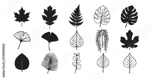 Silhouettes and outlines of various leaves are displayed in a grid pattern. Designs include maple, fern, monstera, ginkgo, and palm leaves, each in black and white