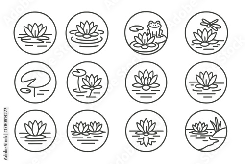 Water Lily Icons. Line style icons of water lilies in round shape: lily on pond, lily with ripples, lily and frog, lily with
