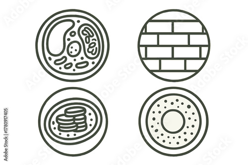 Plant Cell Icons. Line style icons of plant cells in round shape: plant cell diagram, cell wall, chloroplast detail, nucleus