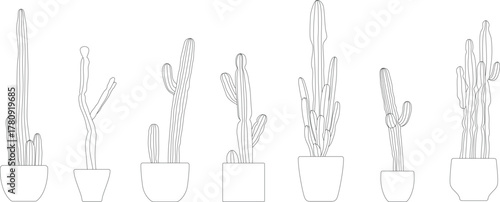 Vector set of outlines of potted cacti - Minimalist collection of line art for architectural decoration of various succulent plants