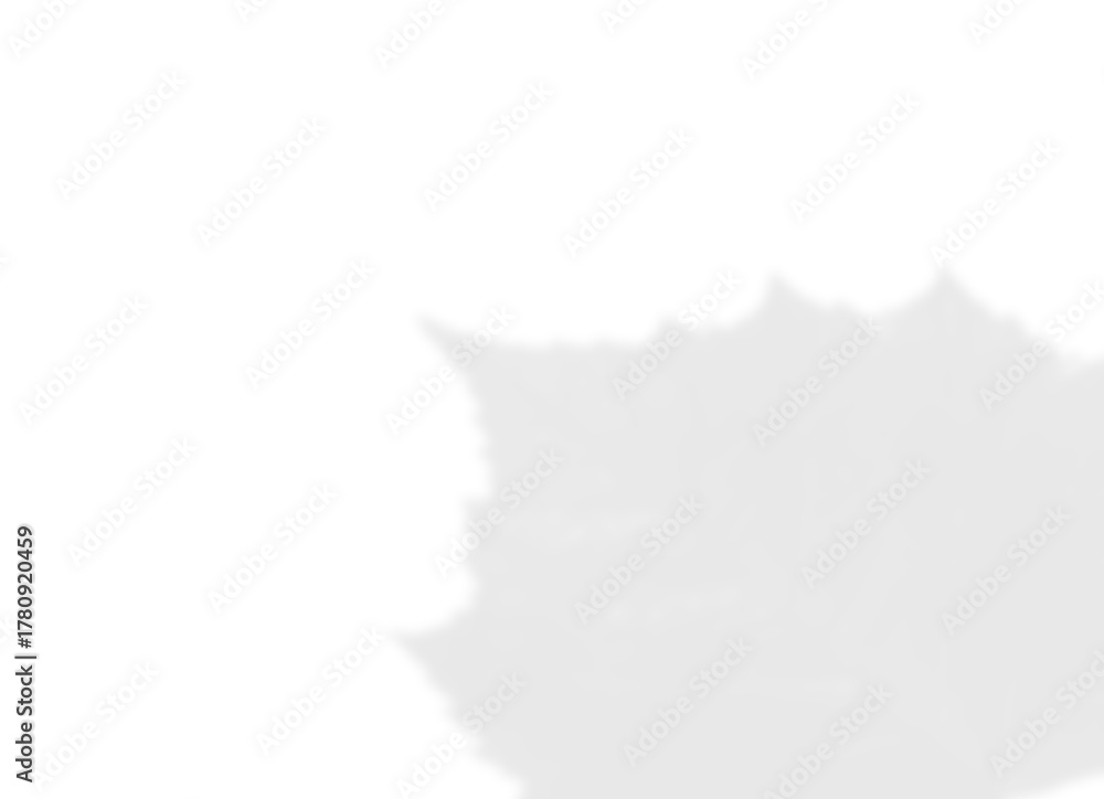 Obraz premium Jagged Maple Leaf Shadow Overlay