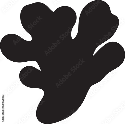  Ginger Root silhouette Vector.