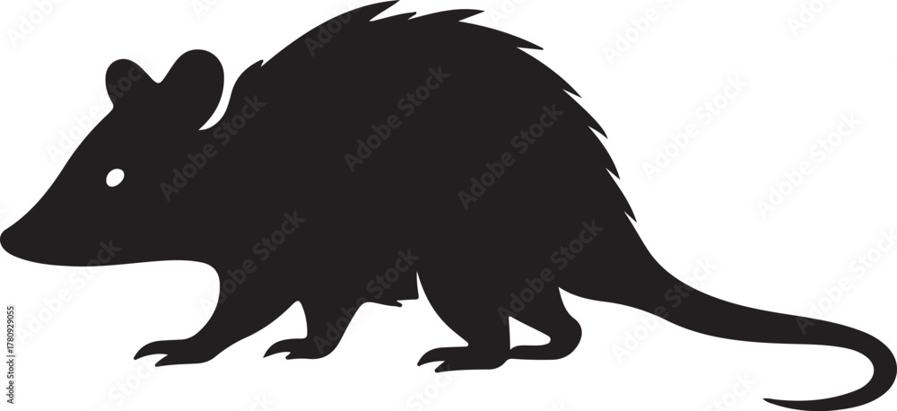 Obraz premium Opossum silhouette vector