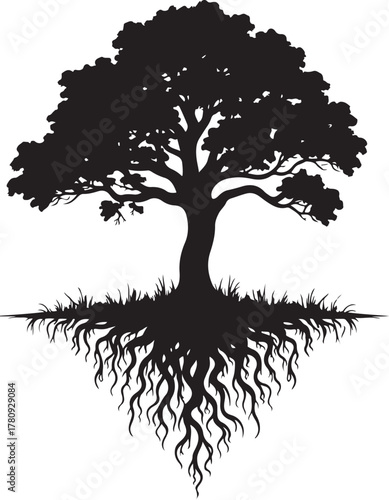 Black silhouette of a mature tree with extensive root system