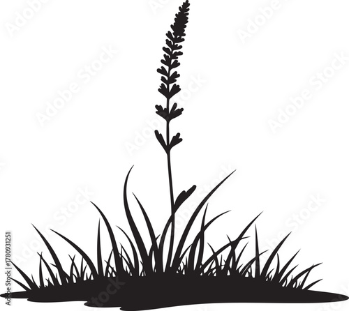 Black silhouette of a single tall grass stalk with leaves