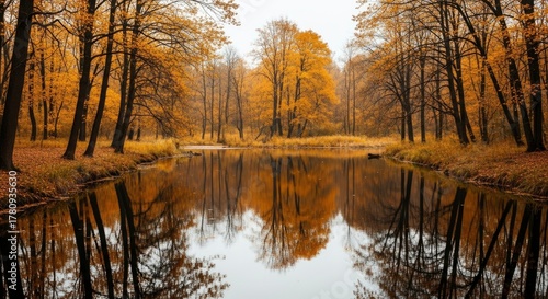 Wallpaper Mural Vibrant Golden Autumn Forest Reflected in Calm River Water Torontodigital.ca