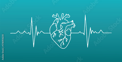 Anatomical Heart Silhouette with ECG Pulse on Blue Background. Healthcare Illustration