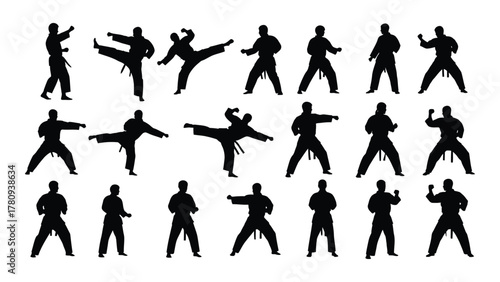 Martial arts karate taekwondo silhouettes isolated on transparent background, Vector