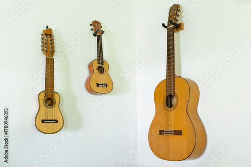Wooden Instruments - Guitars, Ukelele, Charango - on a white wall