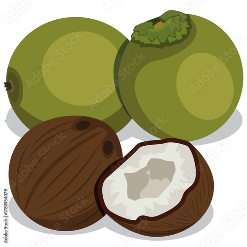 coquito nuts, Raw Nuts Cracked Open.