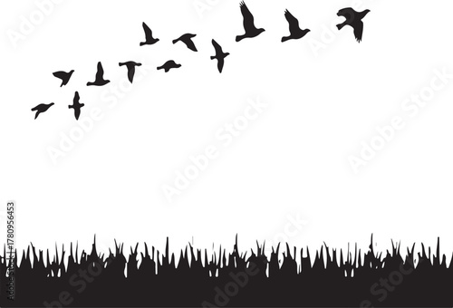 Flock of birds flying over grass silhouette migration