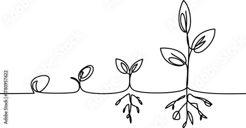 Plant growth stages continuous line drawing seedling