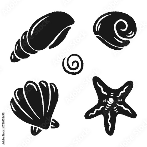 seashell and starfish illustrations silhouette hand drawn