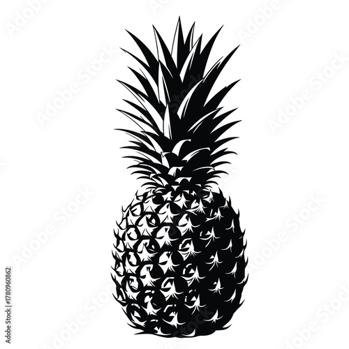 Monochromatic pineapple vector illustration, isolated tropical fruit
