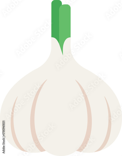 Fresh garlic bulb healthy food ingredient icon