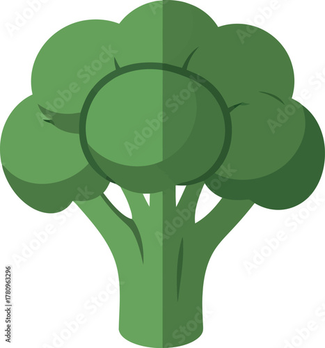 Fresh green broccoli vector illustration healthy food icon