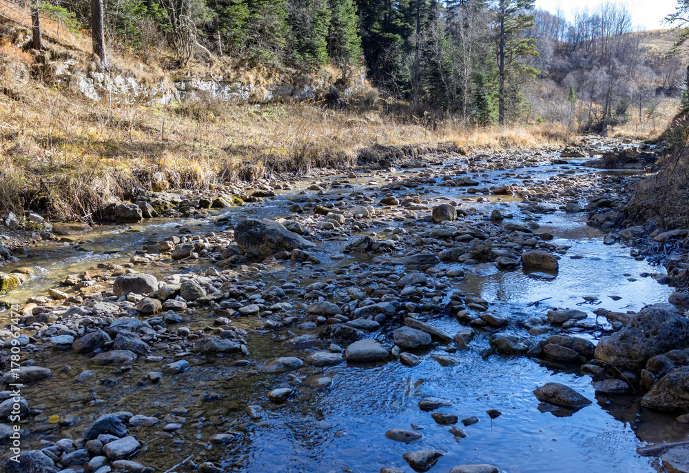 Obraz premium Autumn walks along the banks of a mountain river with clear, cool water in the morning hours with the rising sun
