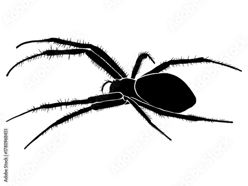 Vector silhouette of a black and white spider illustration on a white background.