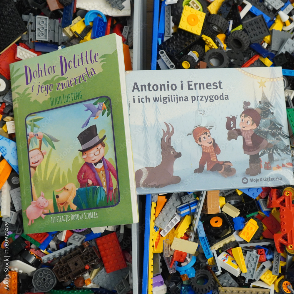 Fototapeta premium Children's books on a background of colorful toy blocks