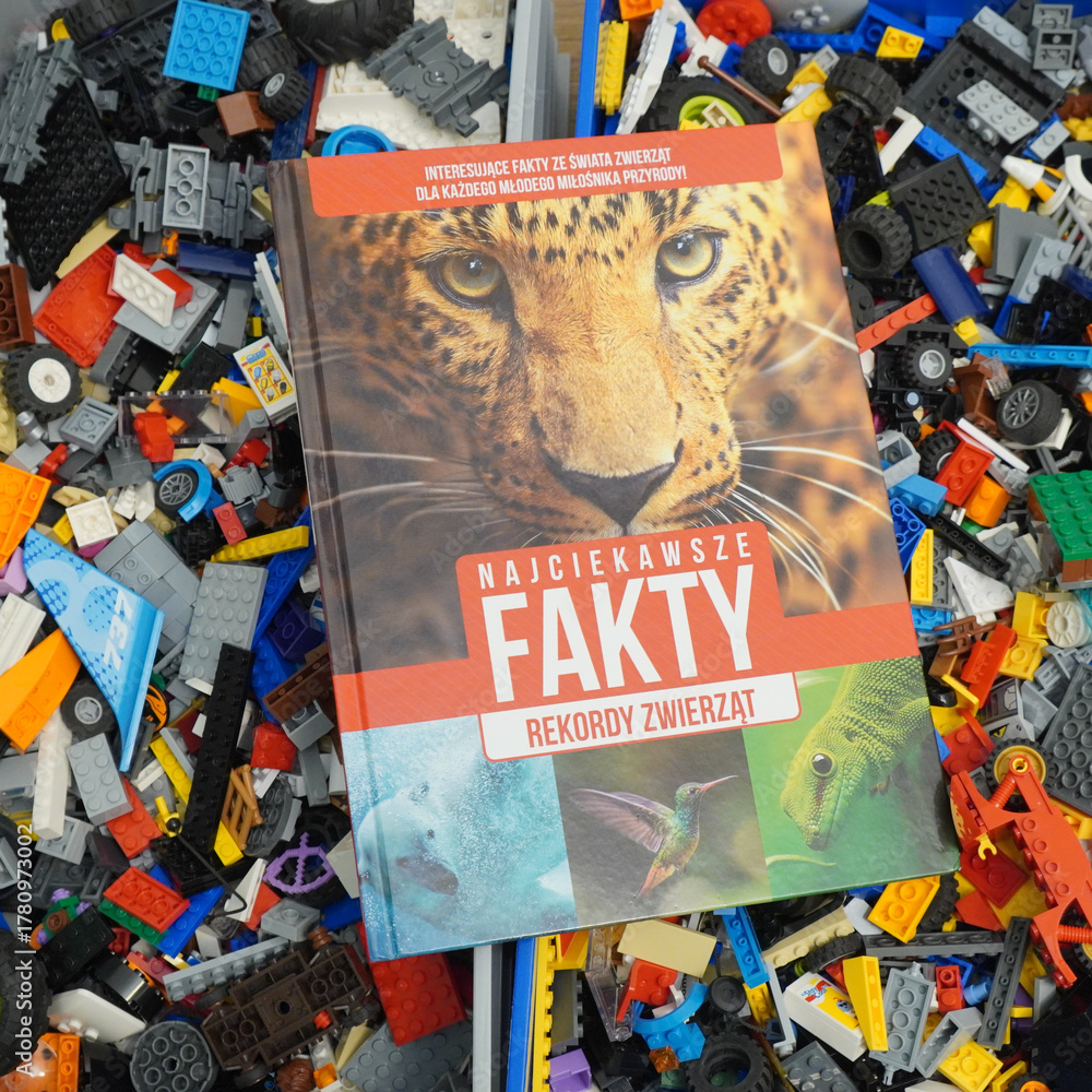 Obraz premium Book about animal facts on a pile of colorful toy blocks, educational and fun