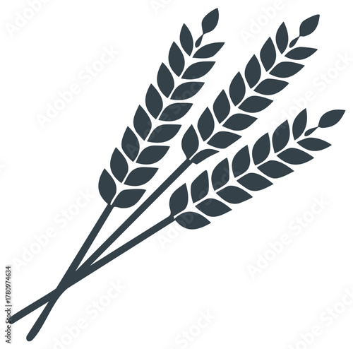 Wheat Stalks Bundled Together Minimalist Design Grain Harvest Vector Illustration