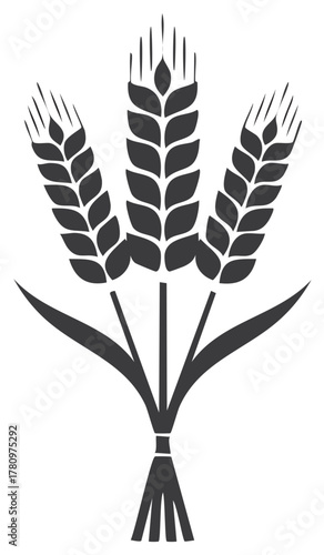 Three stalks of wheat tied together with leaves and grains