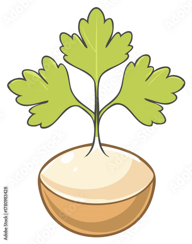 Parsley Plant in Pot Illustration Fresh Herb Growing Greens