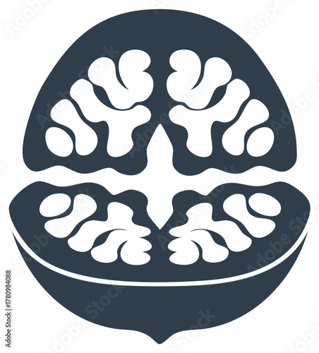 Stylized Silhouette of a Walnut Half with Detailed Kernel Shape
