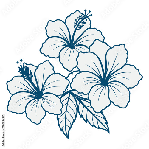 Delicate hand drawn sketch of a cluster of blooming hibiscus flowers with leaves in a simple blue outline style