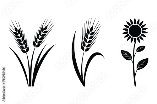 Wheat and sunflower silhouettes for design use