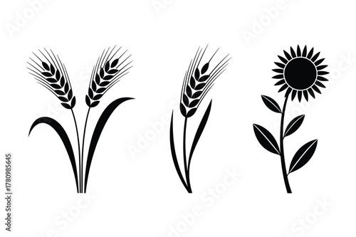 Wheat and sunflower silhouettes for design use