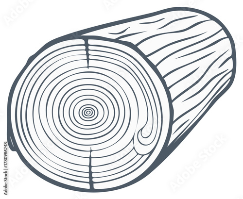 Tree log cross section showing annual growth rings and natural wood texture line art illustration